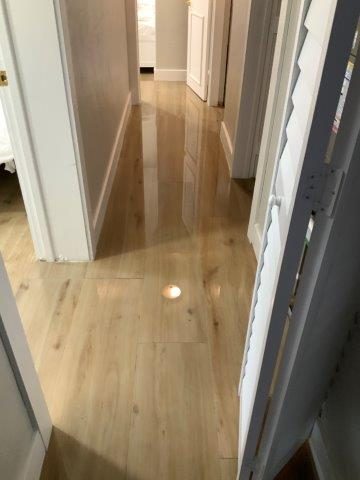 A hallway with wood-look flooring shows standing water pooling and reflecting a ceiling light.